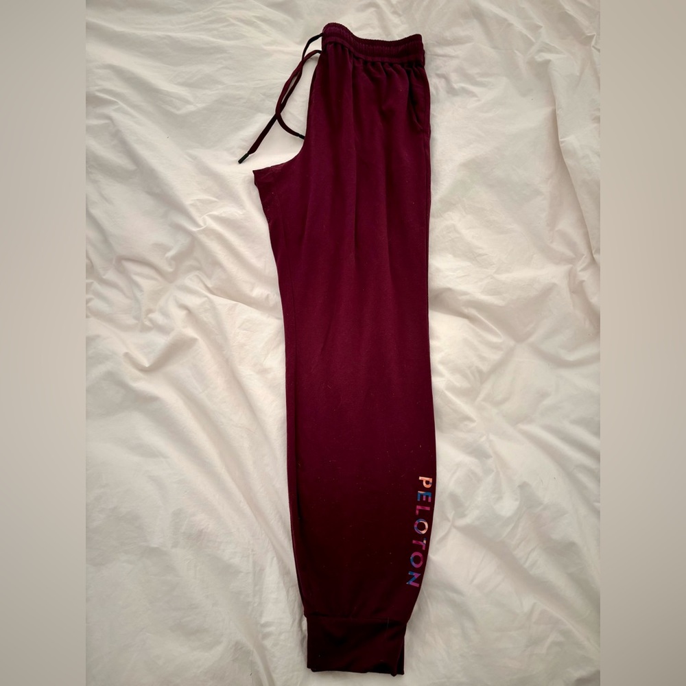 Peloton Dreamblend Jogger & Hoodie - Picture 4 of 7